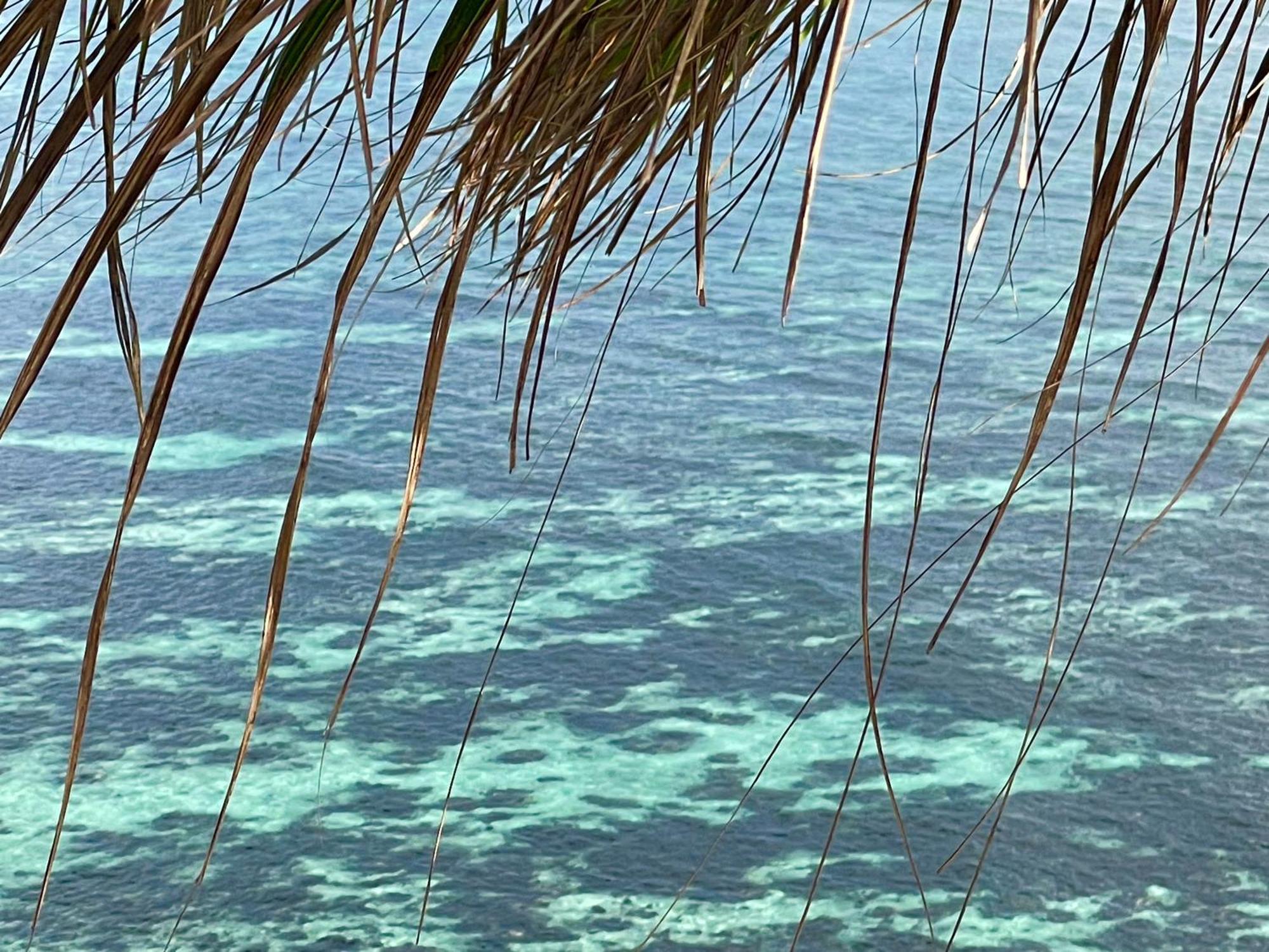 Chalets Bougainville Takamaka Pokoj fotografie